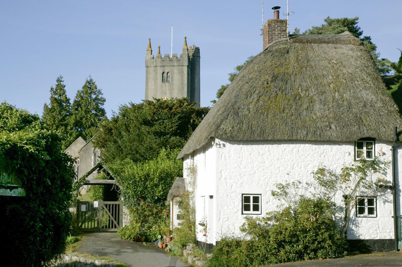Moorland View Cottage North Bovey المظهر الخارجي الصورة