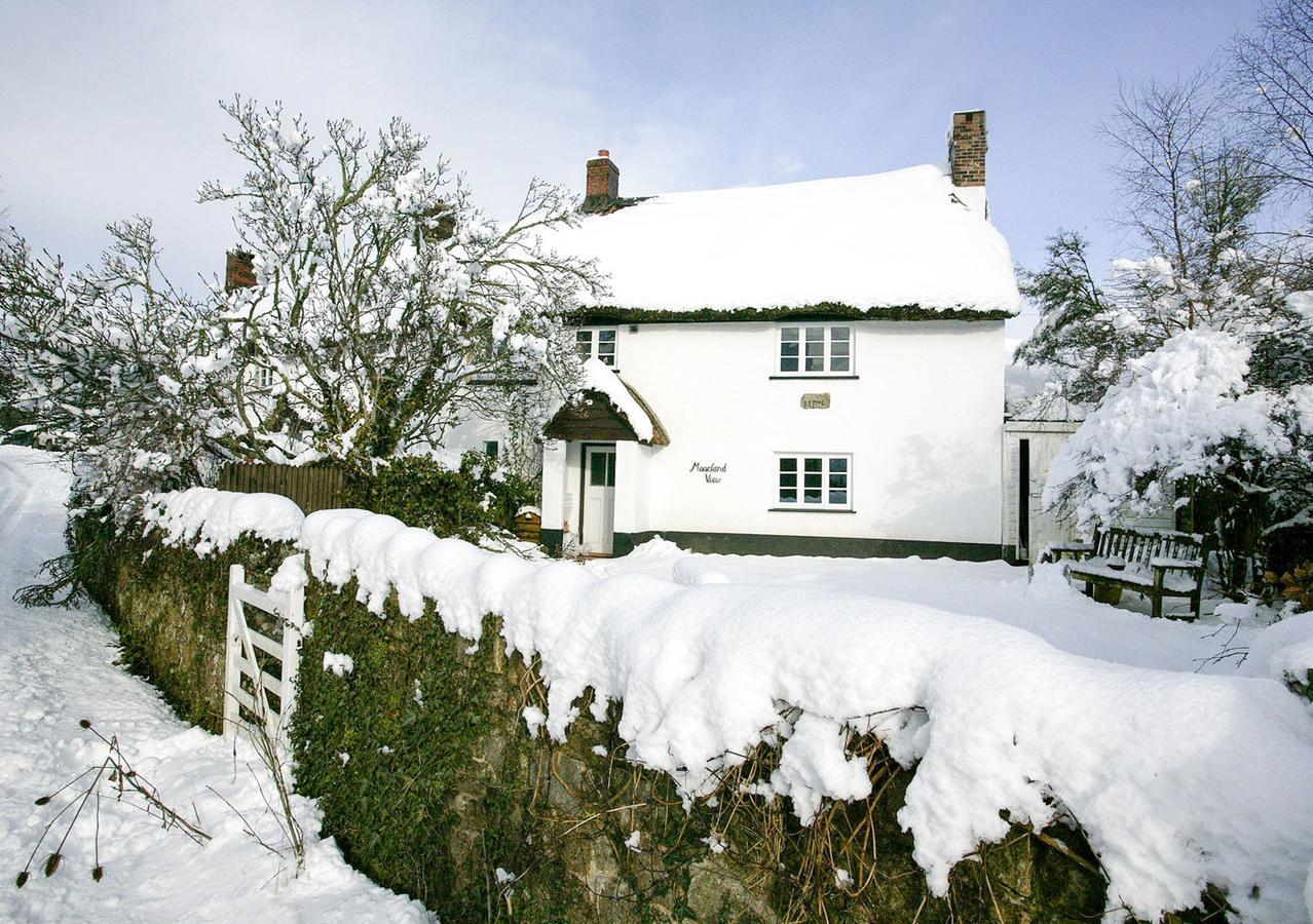 Moorland View Cottage North Bovey المظهر الخارجي الصورة