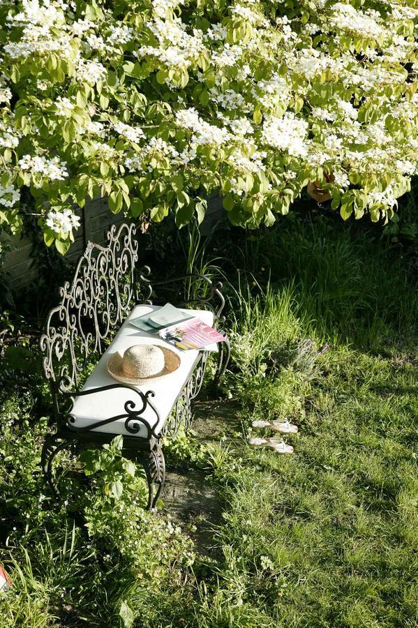 Moorland View Cottage North Bovey المظهر الخارجي الصورة