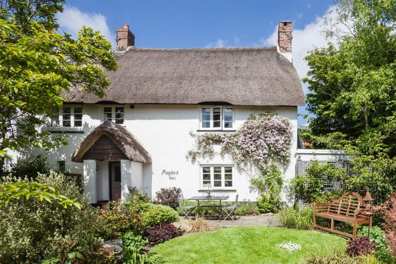 Moorland View Cottage North Bovey المظهر الخارجي الصورة
